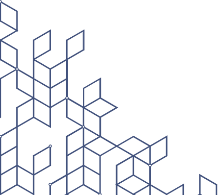 Expert Visa Solutions